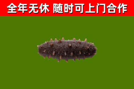深汕区烟酒回收干海参.jpg